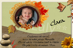 Modèle Clara