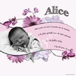 Modèle Alice